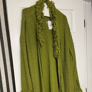 New Ashley Steward Pea green Sweater. Size 2XL